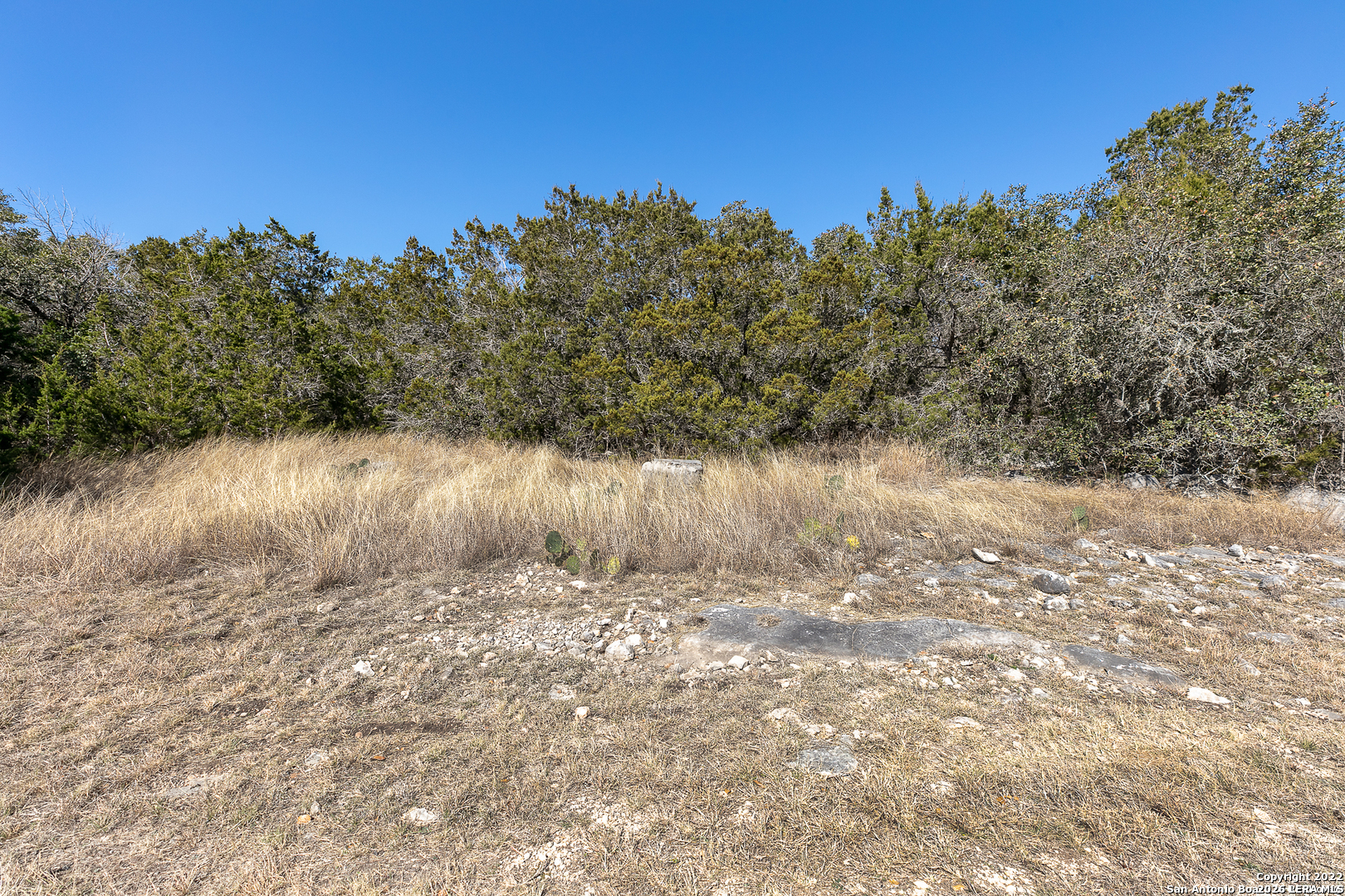 Lot 15 Pr 2535 Mico TX 78056