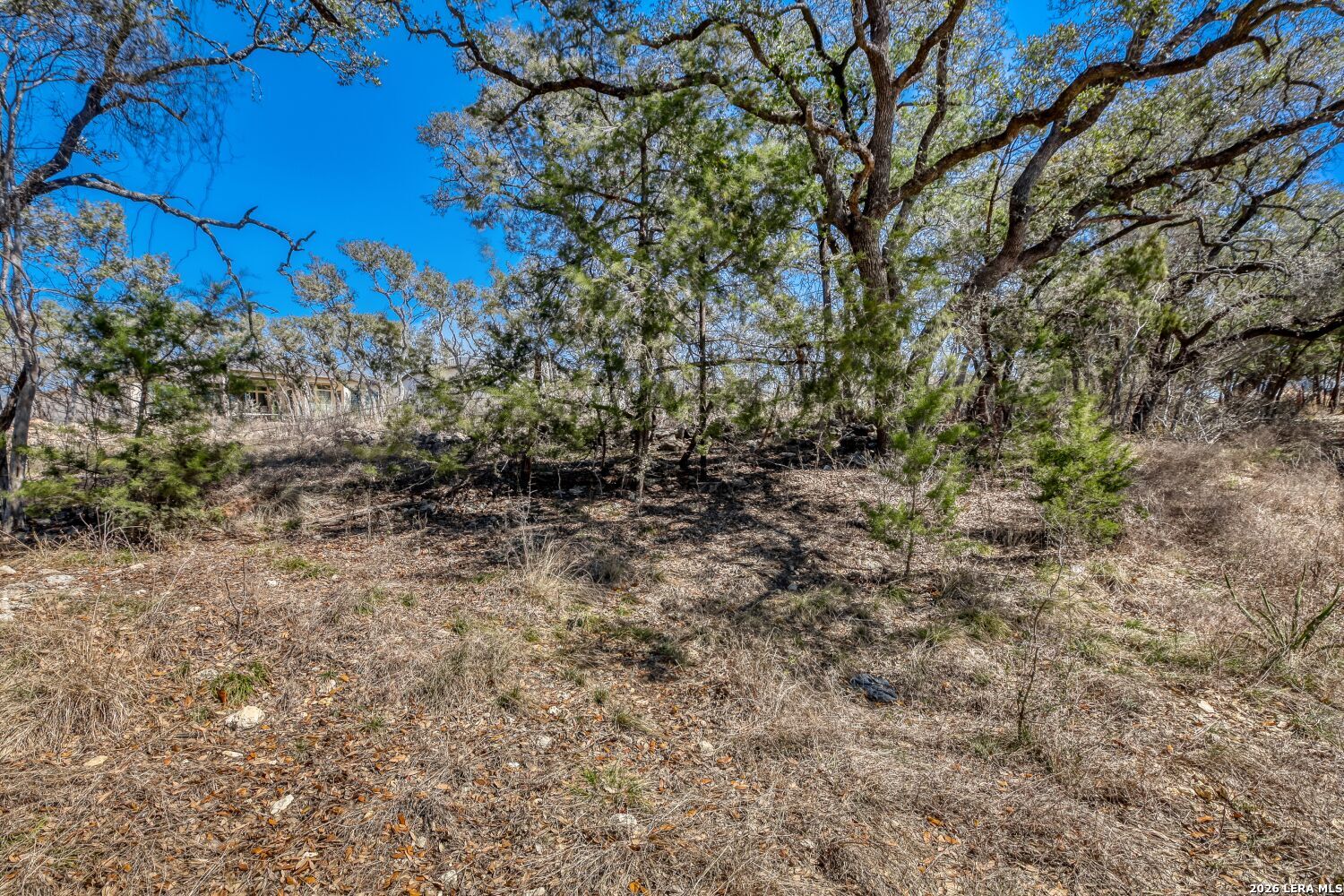 6914 Bluff Run San Antonio TX 78257