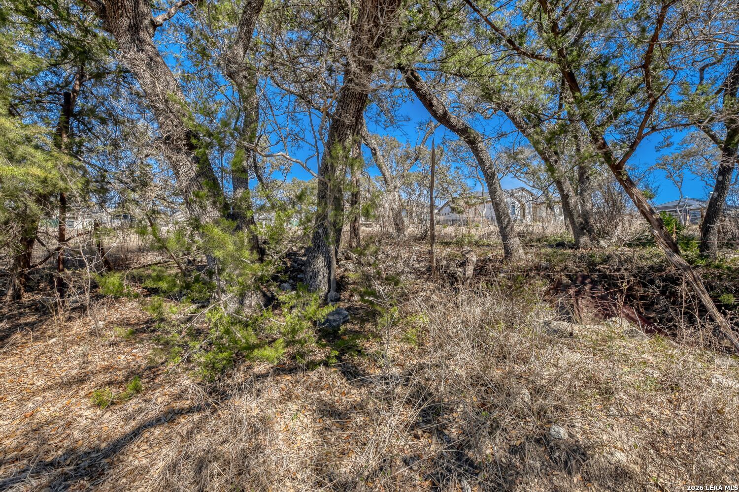 6914 Bluff Run San Antonio TX 78257
