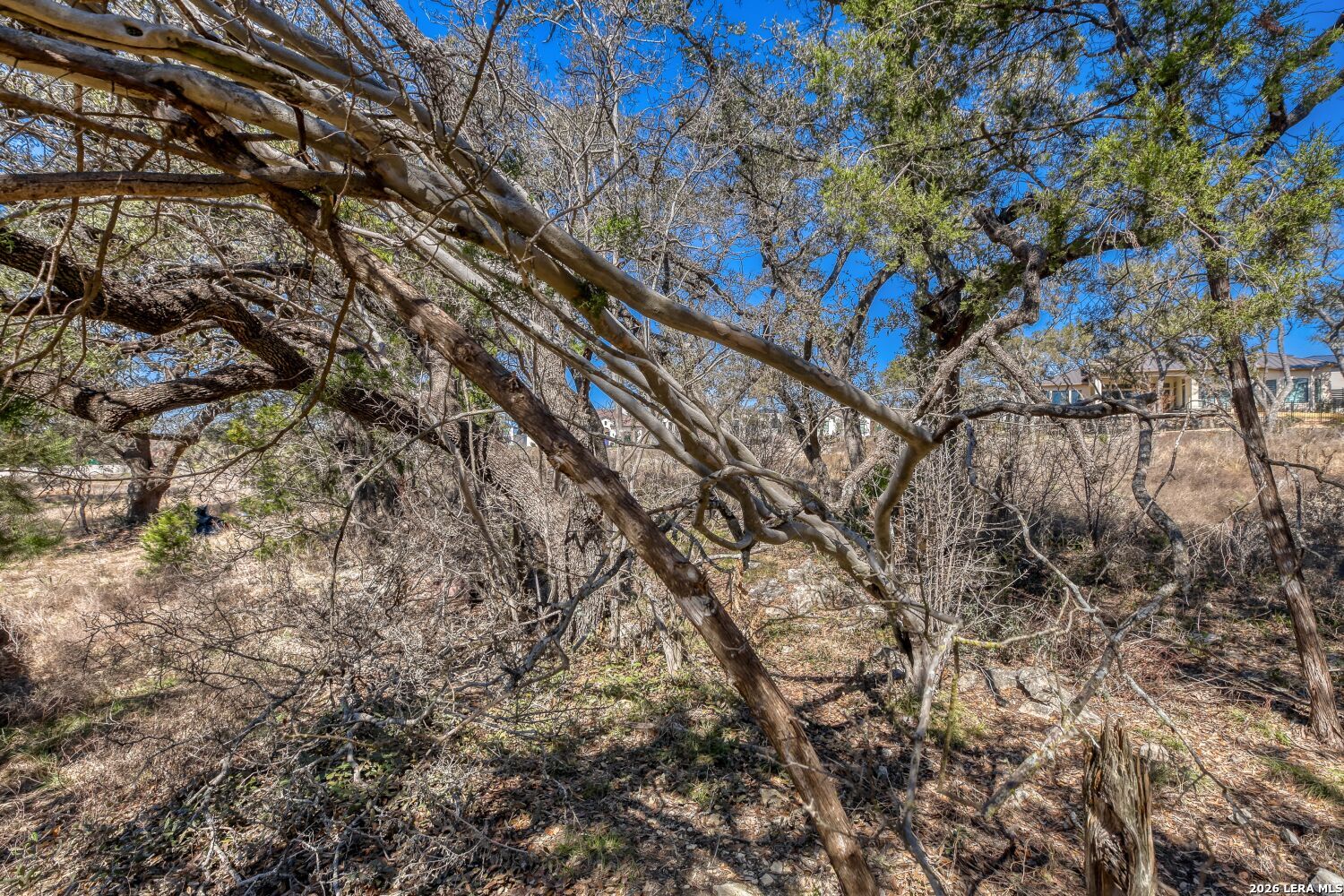 6914 Bluff Run San Antonio TX 78257