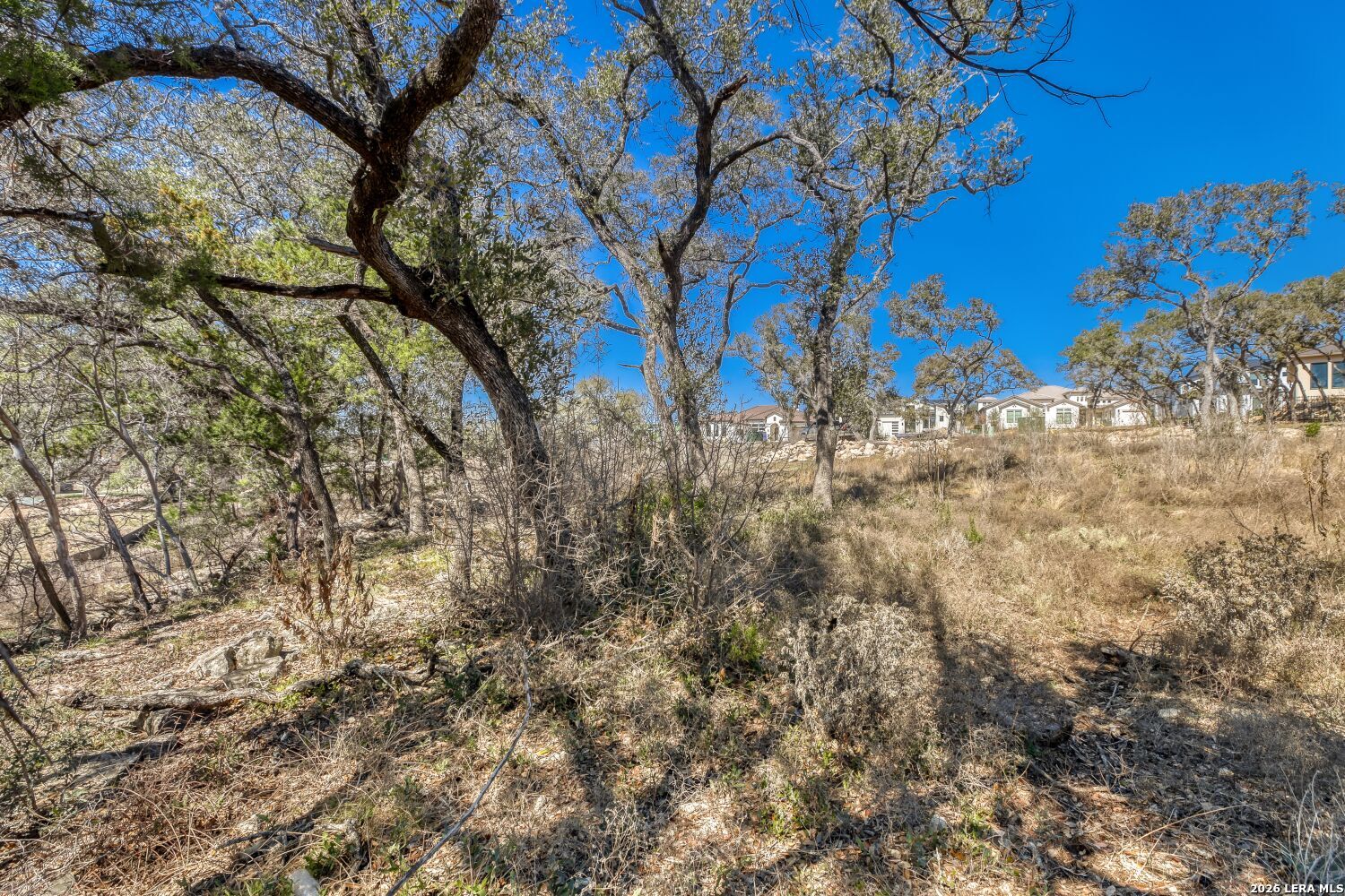6914 Bluff Run San Antonio TX 78257