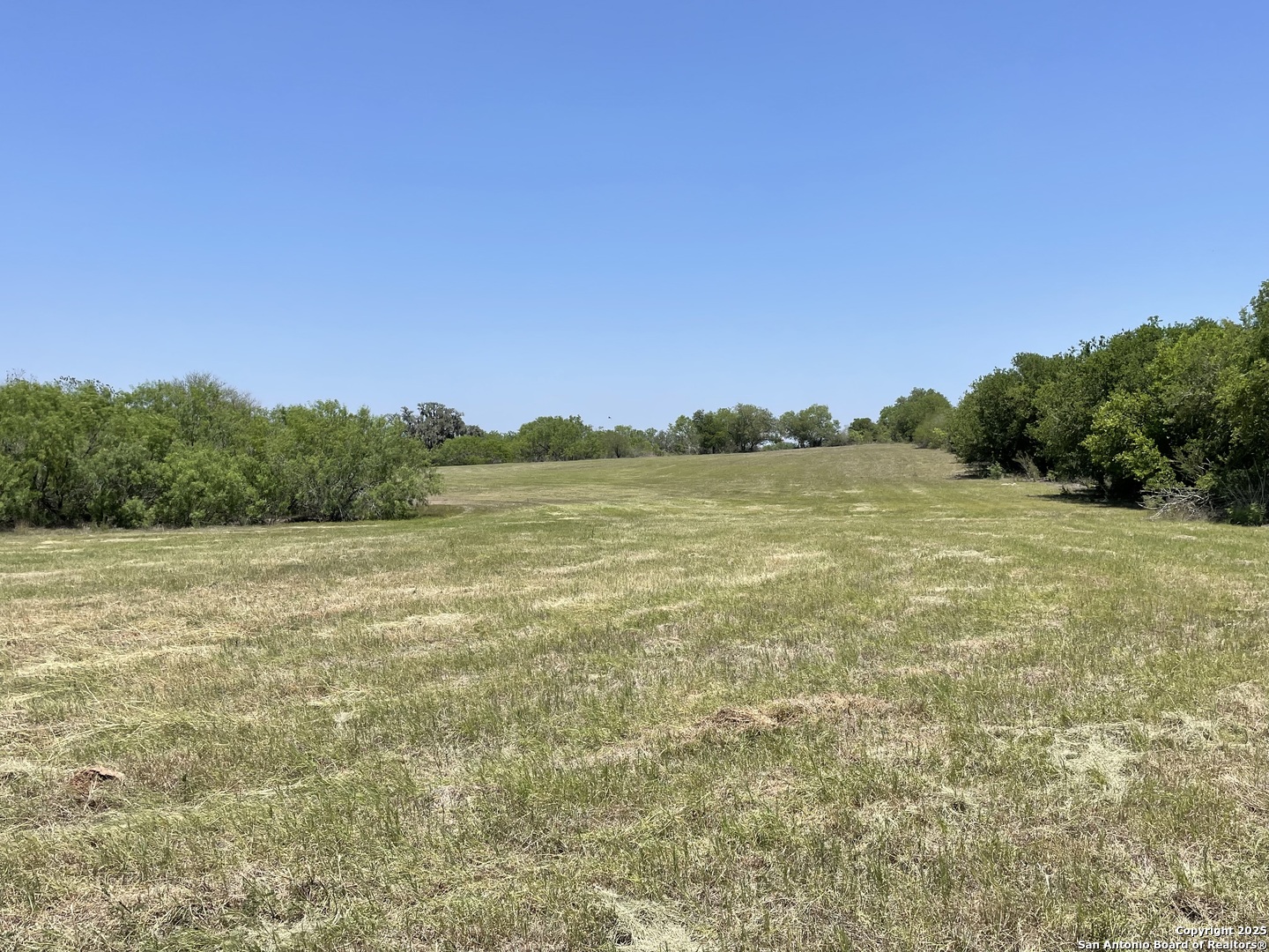 Tract 4 West King Lane Beeville TX 78142