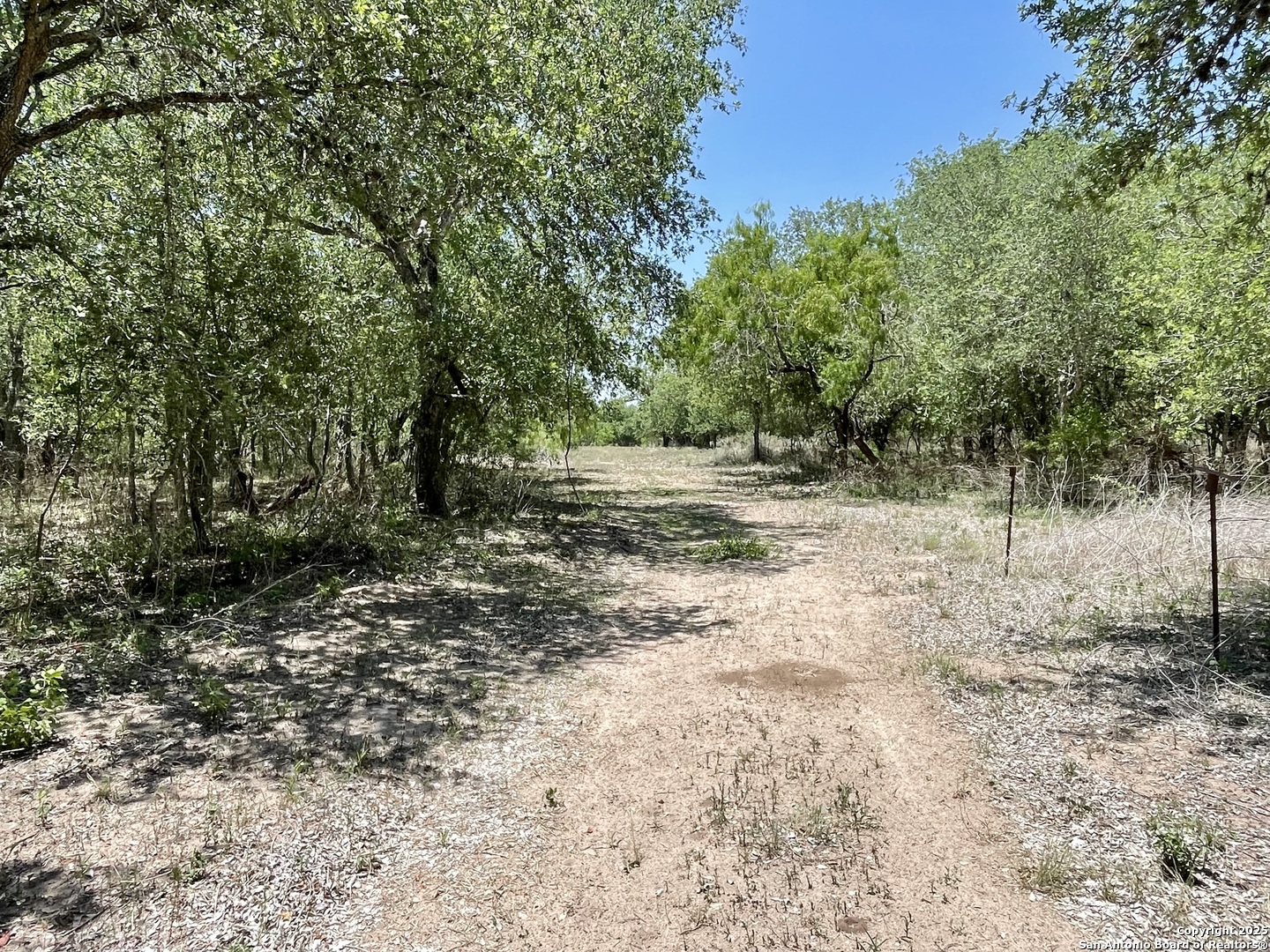 Tract 4 West King Lane Beeville TX 78142