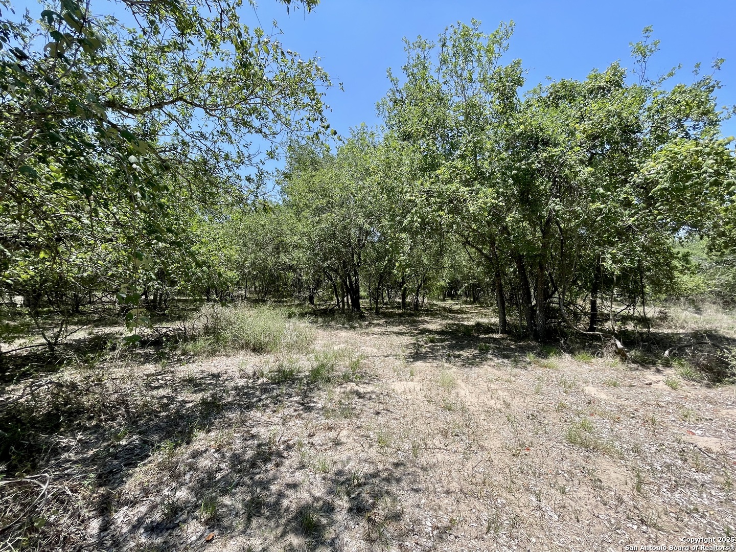 Tract 4 West King Lane Beeville TX 78142