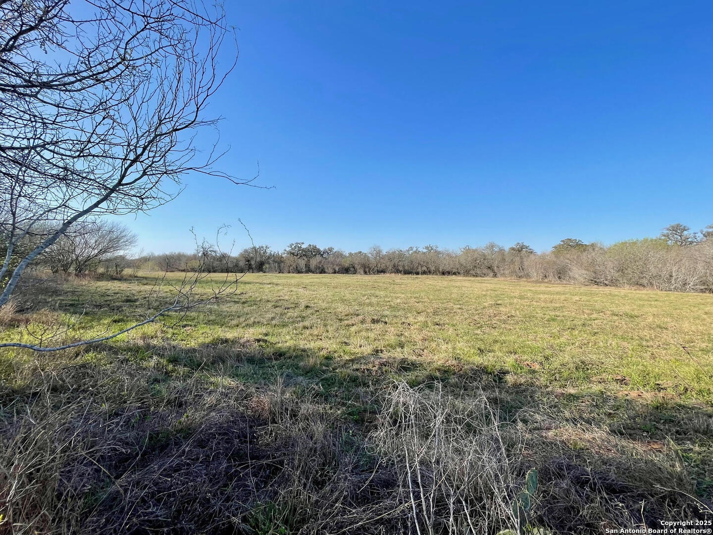 Tract 4 West King Lane Beeville TX 78142