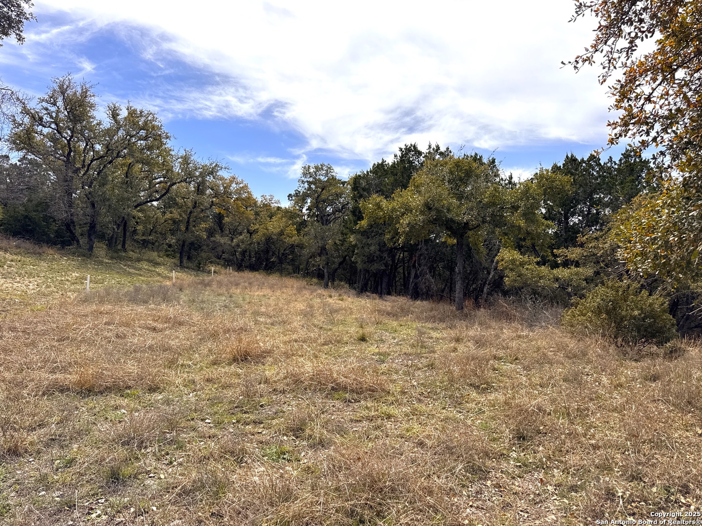 644 Angelica Canyon Lake TX 78133