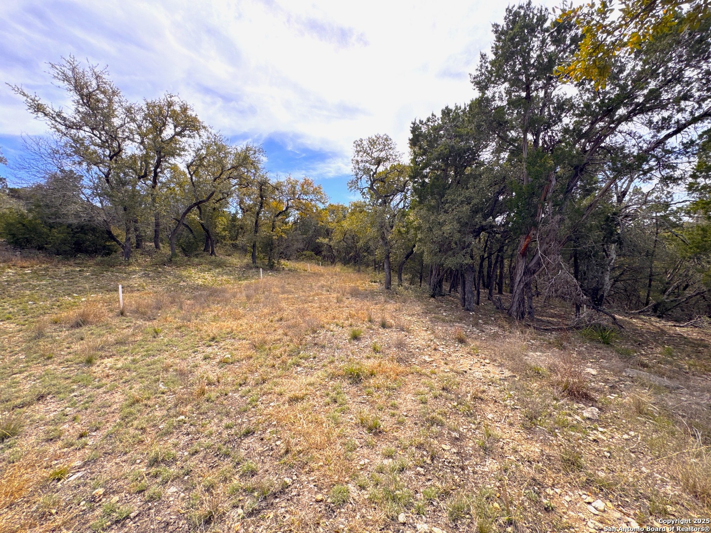 644 Angelica Canyon Lake TX 78133