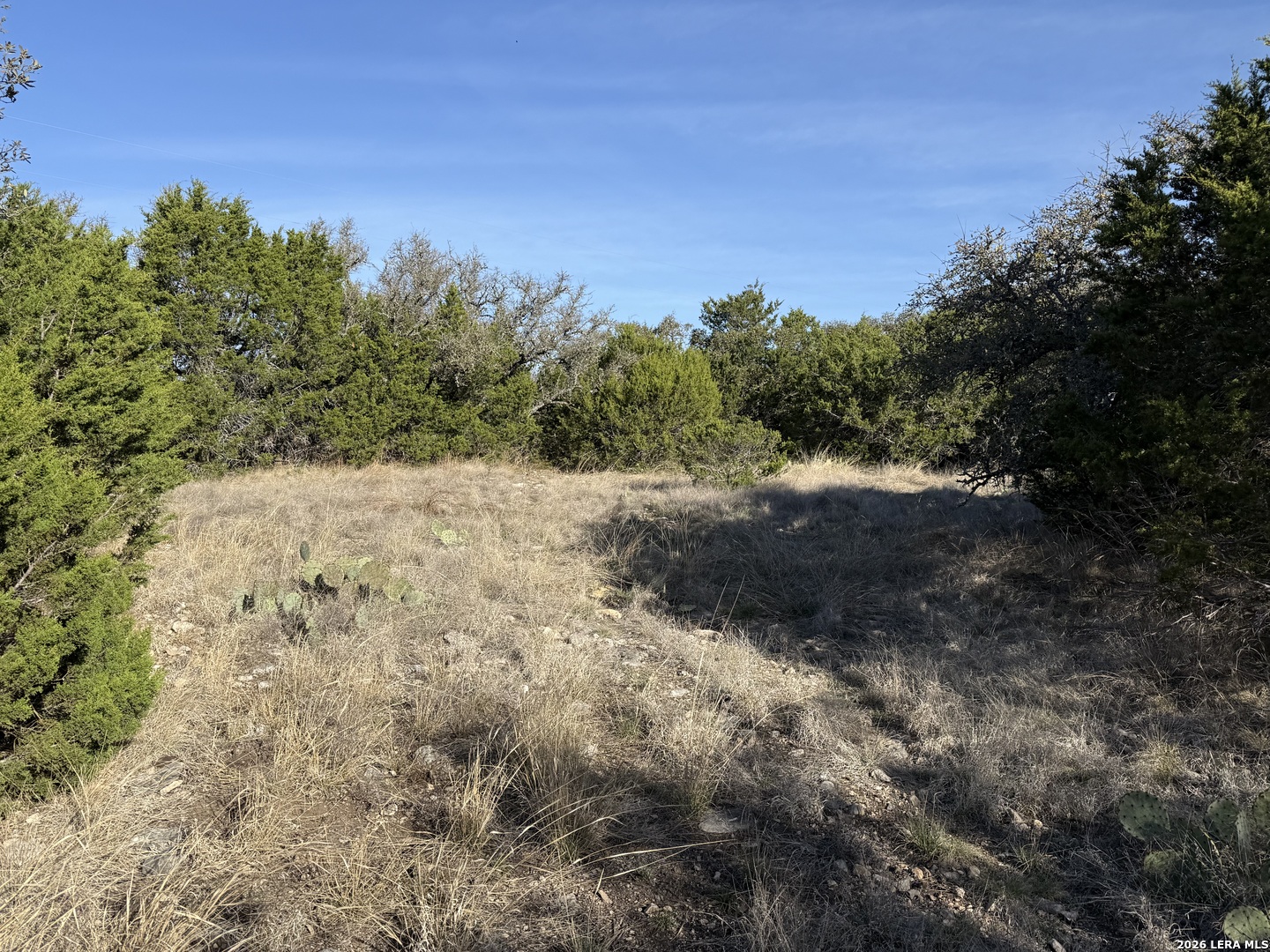 Lot 3d N Laird Road Harper TX 78631