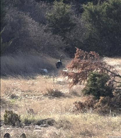 Lot 3d N Laird Road Harper TX 78631