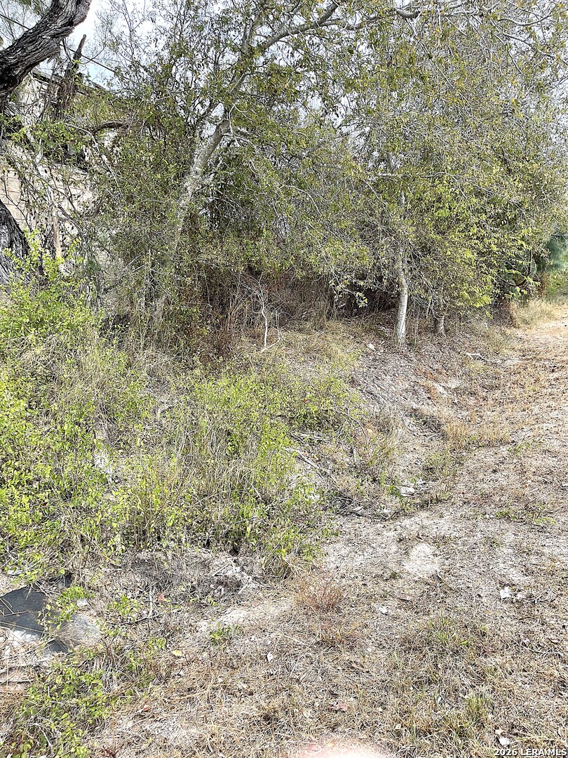 Tbd N Highway 37 Access Three Rivers TX 78071