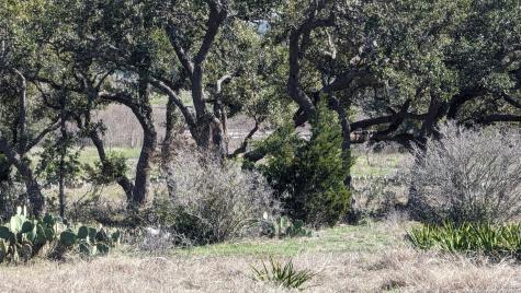 2308 San Jose Way Canyon Lake TX 78133