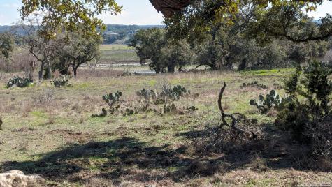 2308 San Jose Way Canyon Lake TX 78133