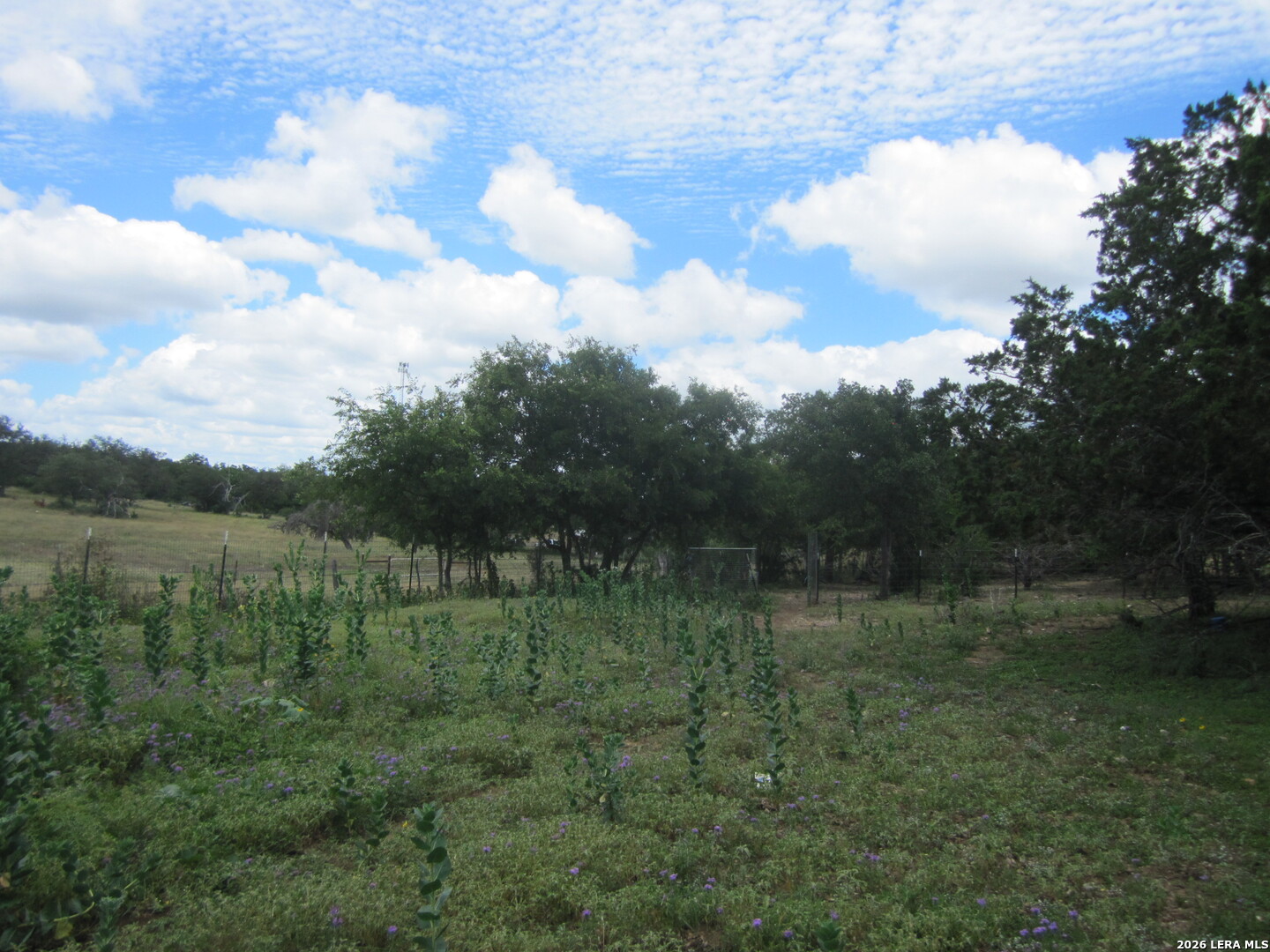 1619 Stringtown Road Medina TX 78055
