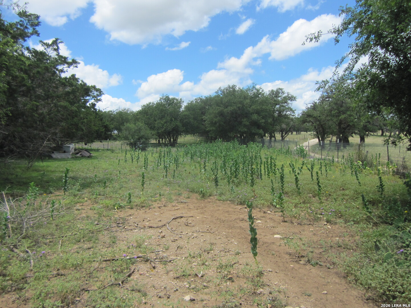 1619 Stringtown Road Medina TX 78055