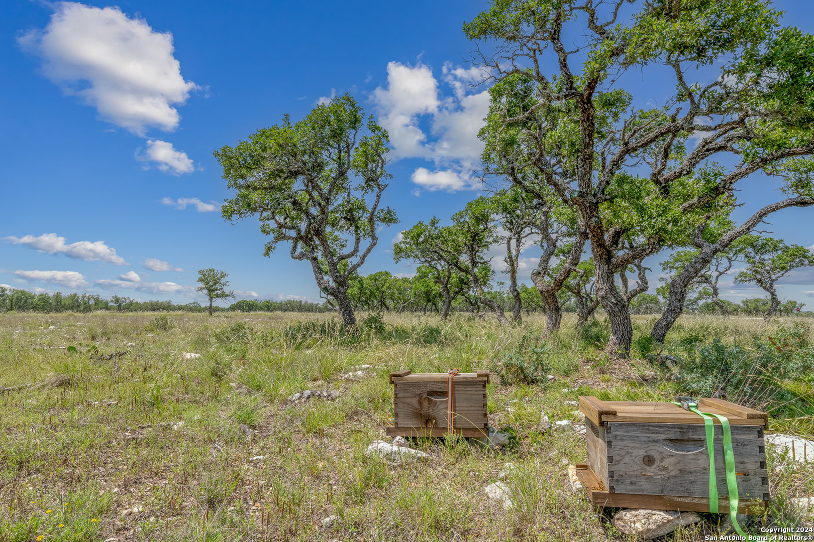 100 Spring Crossing Junction TX 76849