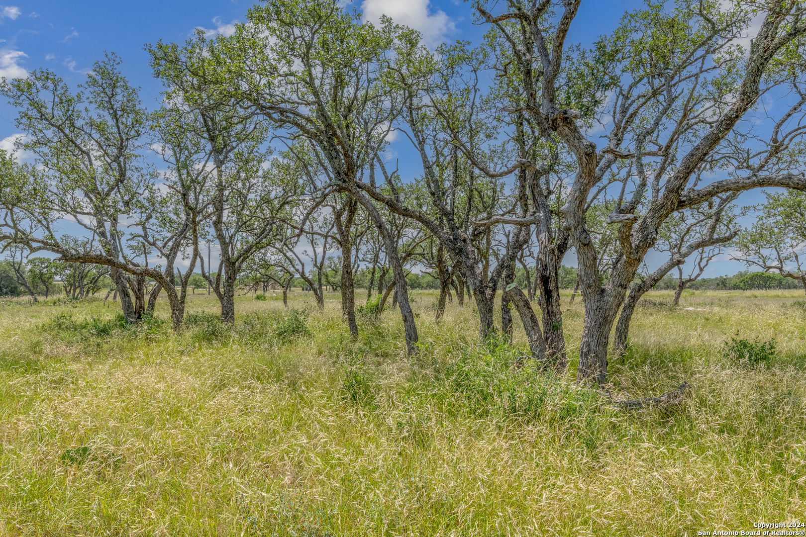 100 Spring Crossing Junction TX 76849
