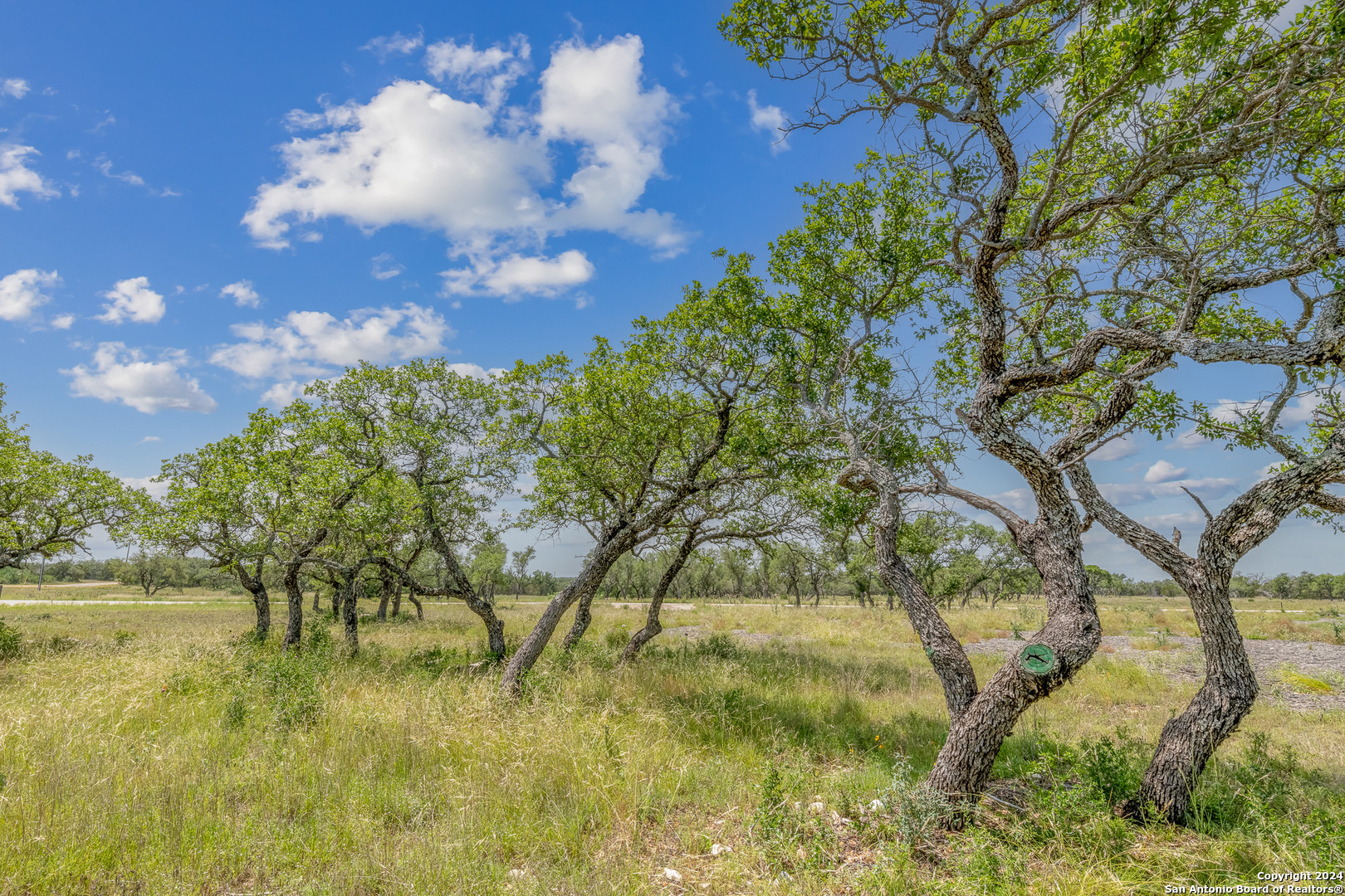 100 Spring Crossing Junction TX 76849