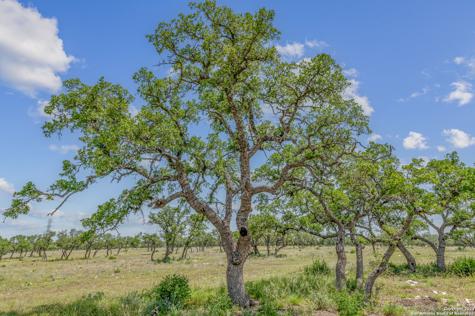 100 Spring Crossing Junction TX 76849