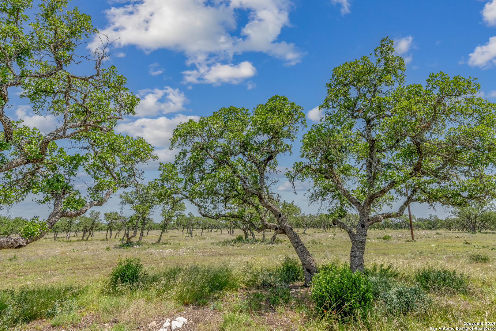 100 Spring Crossing Junction TX 76849