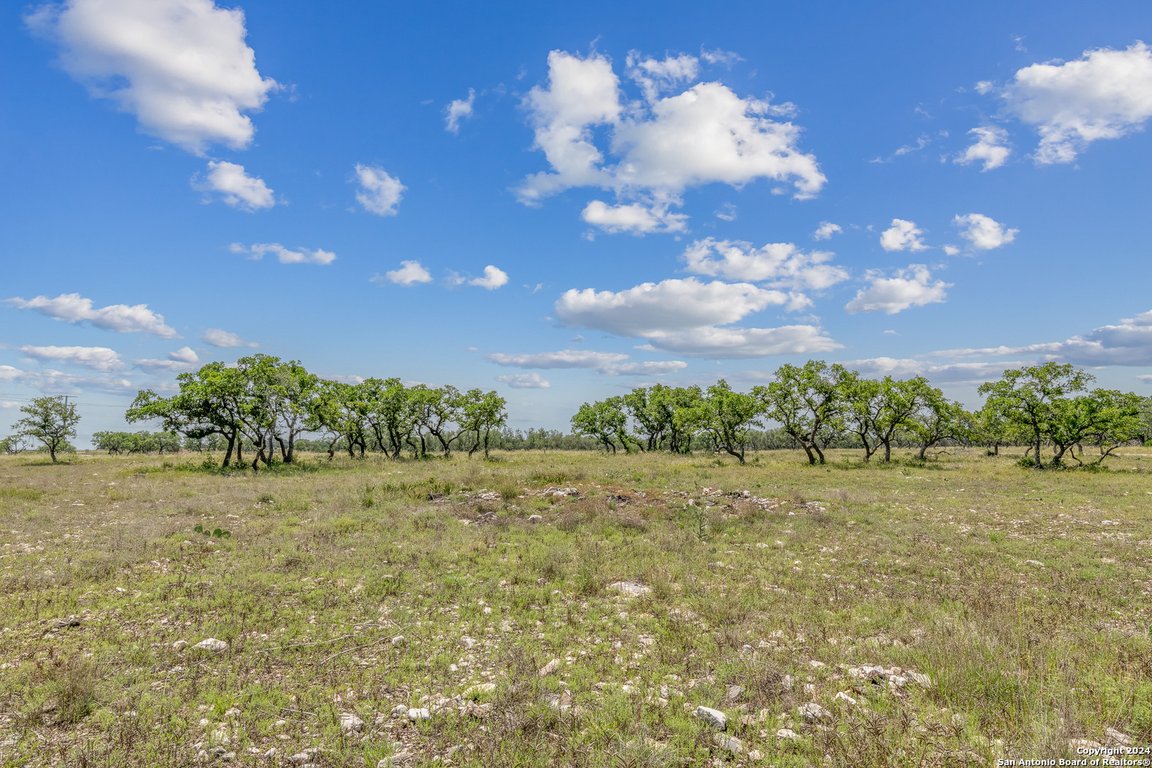100 Spring Crossing Junction TX 76849
