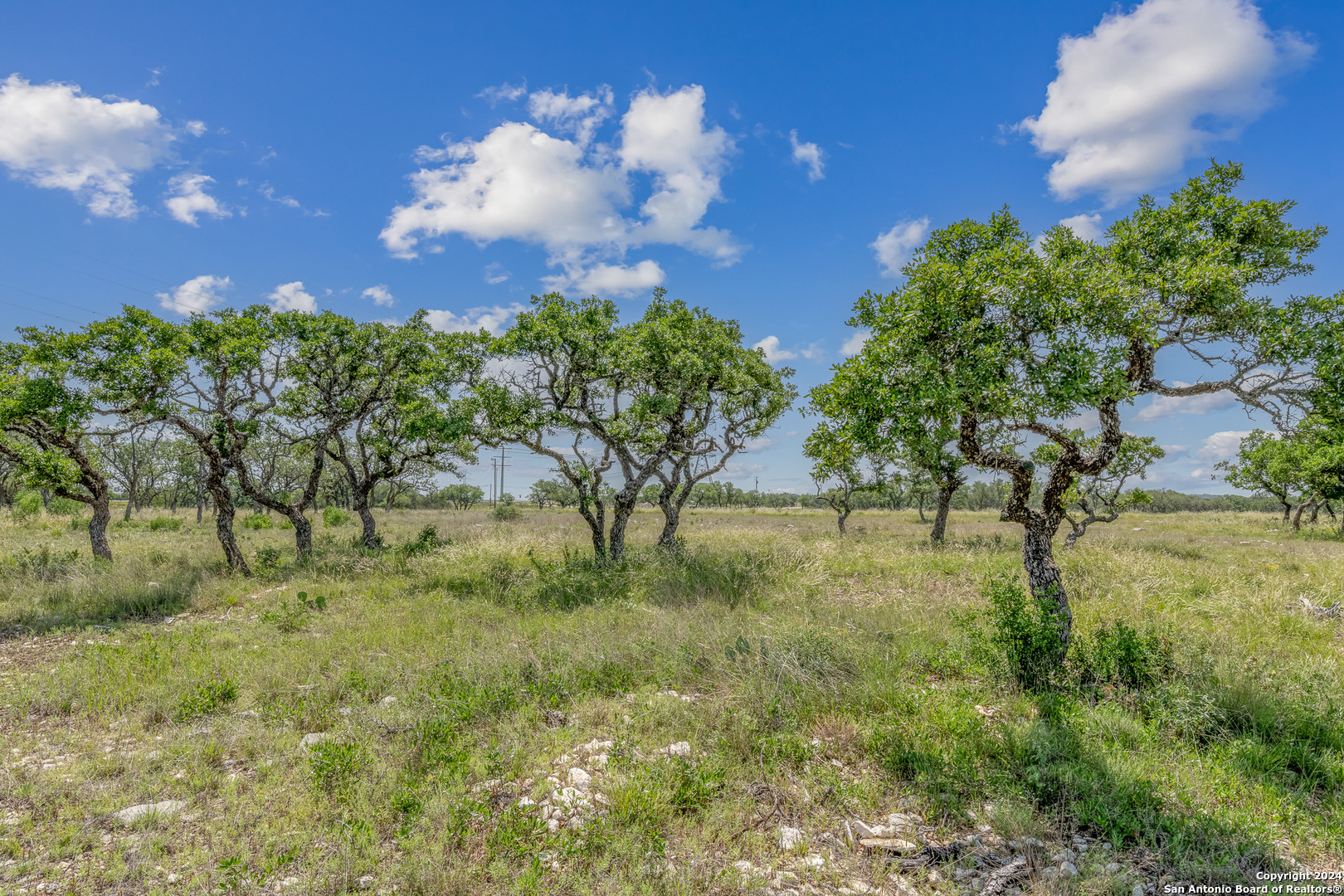 100 Spring Crossing Junction TX 76849