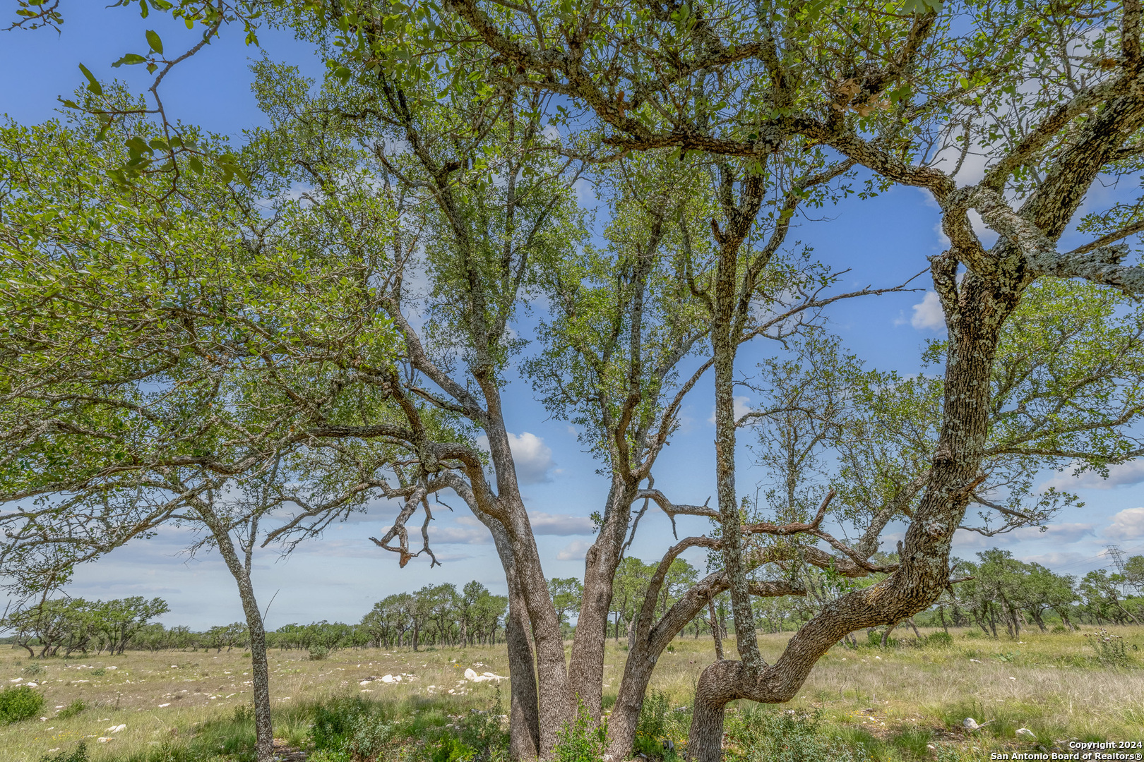 100 Spring Crossing Junction TX 76849