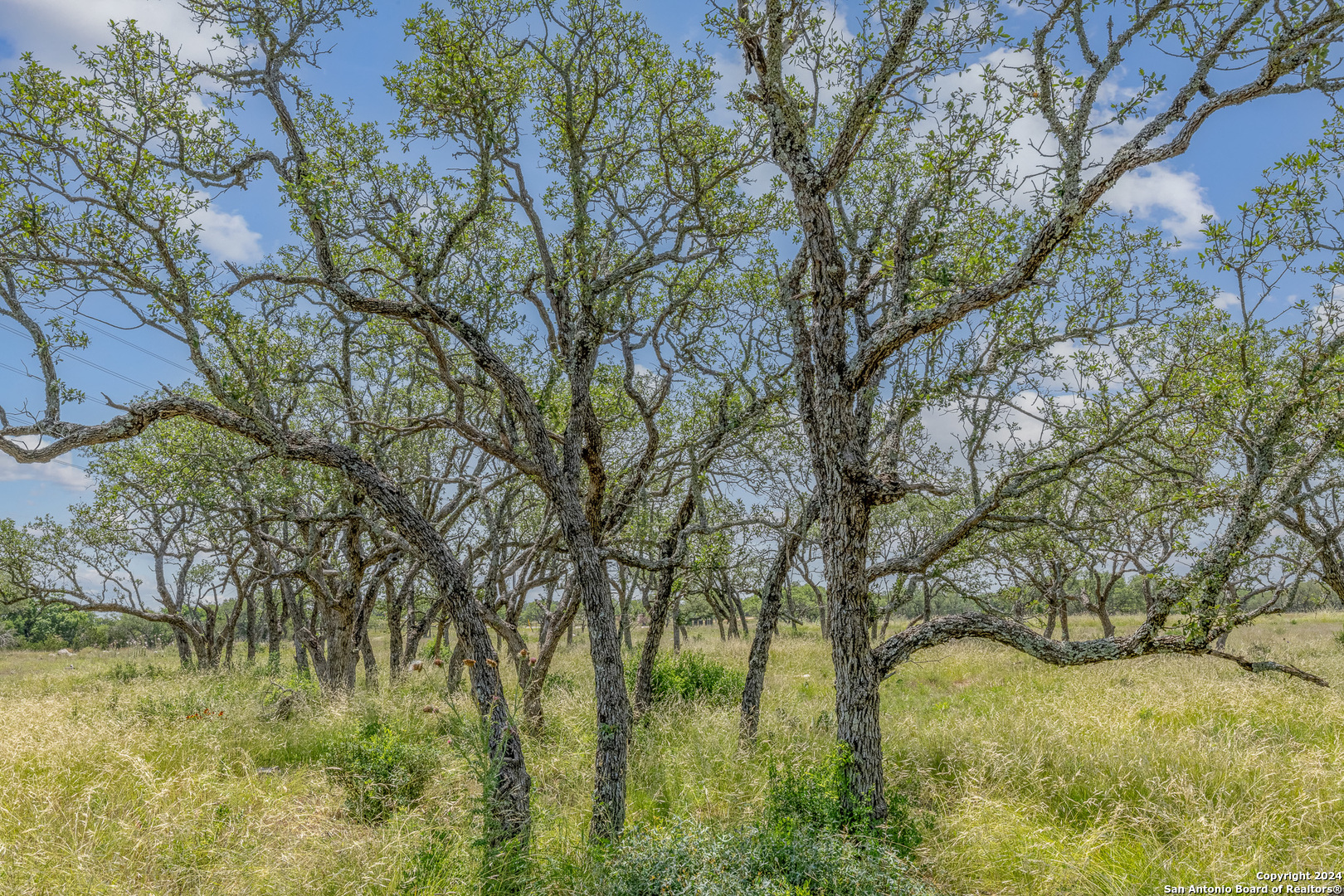 100 Spring Crossing Junction TX 76849