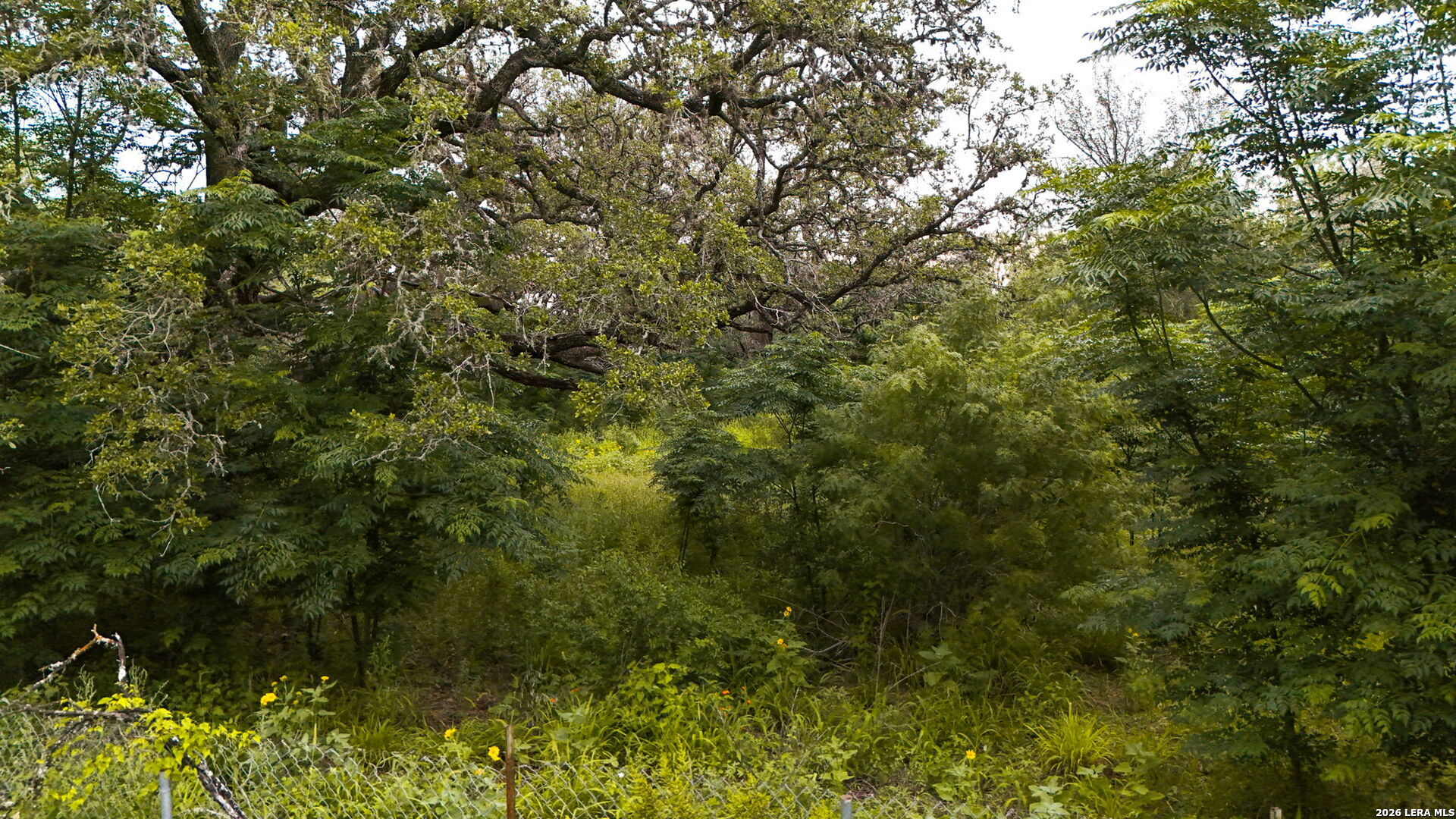 8796 Stuart Road San Antonio TX 78263