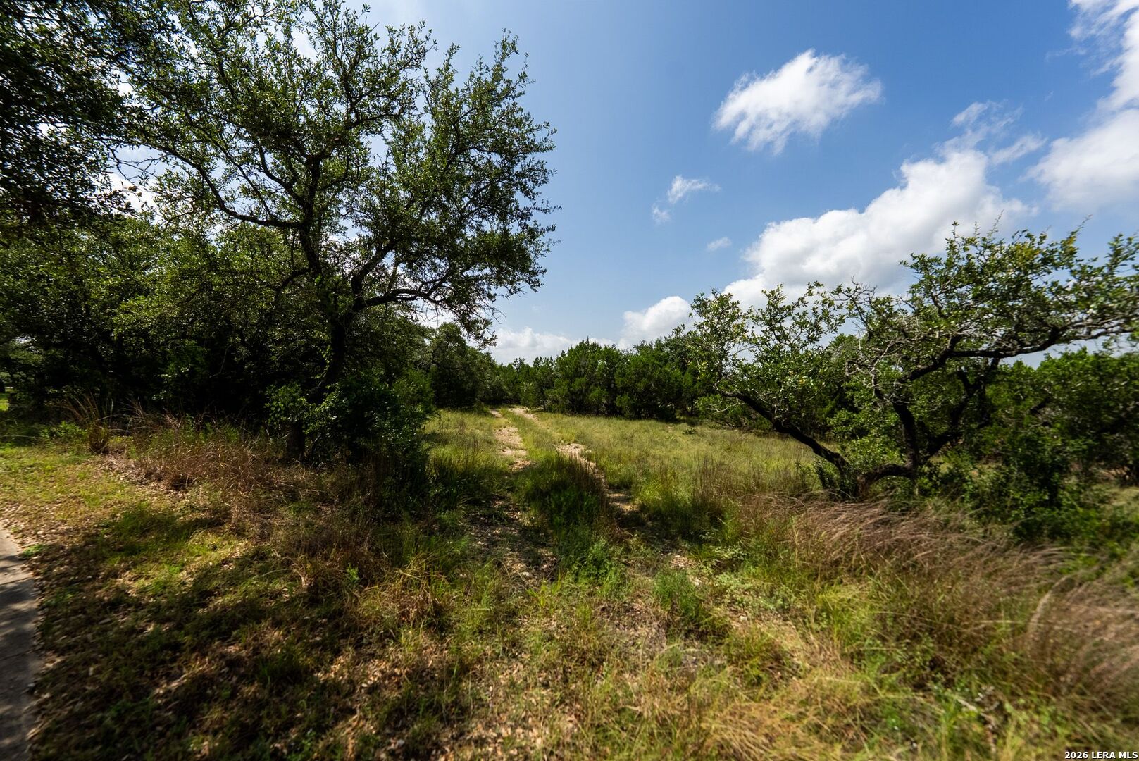 1016 Monteola Bulverde TX 78163