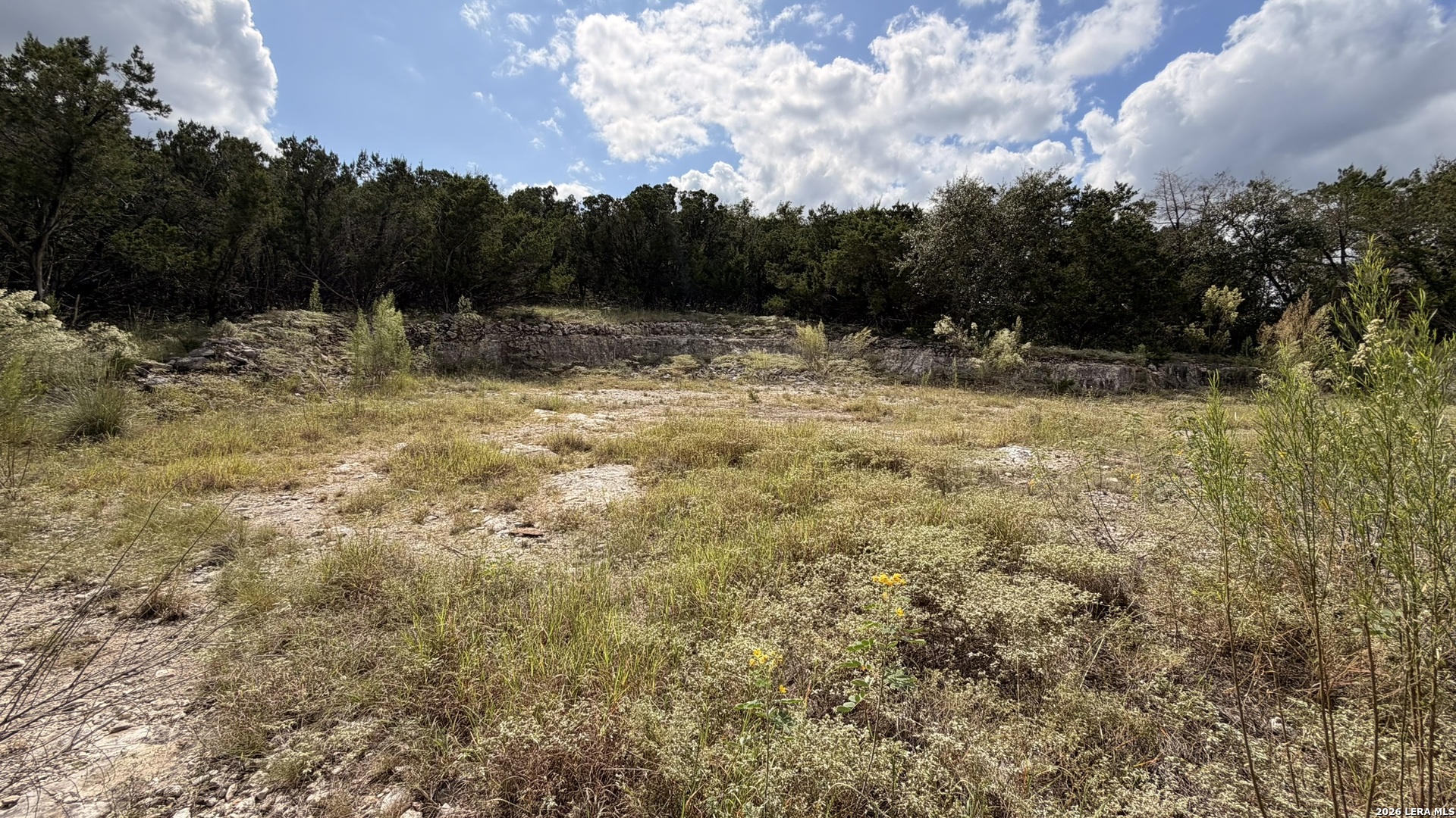 234 Longwood New Braunfels TX 78132