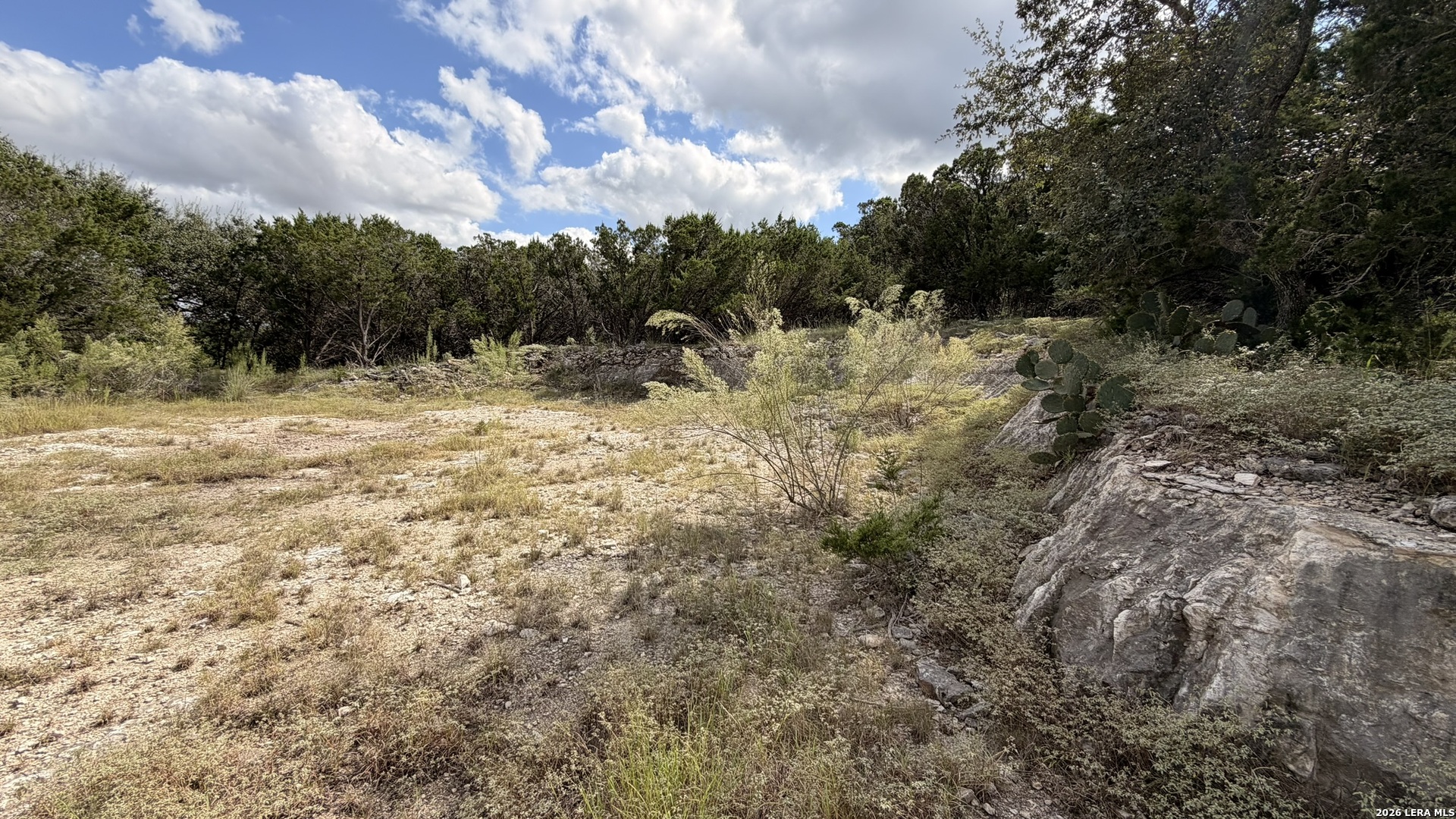 234 Longwood New Braunfels TX 78132