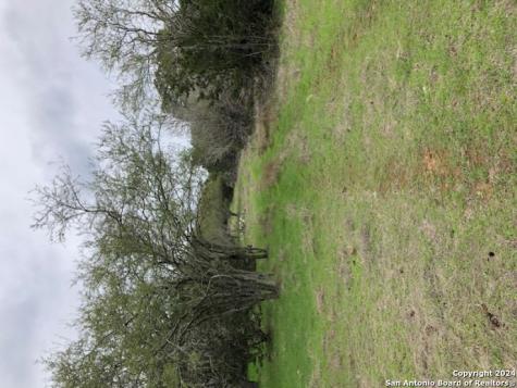 8205 Wegner Road New Braunfels TX 78132