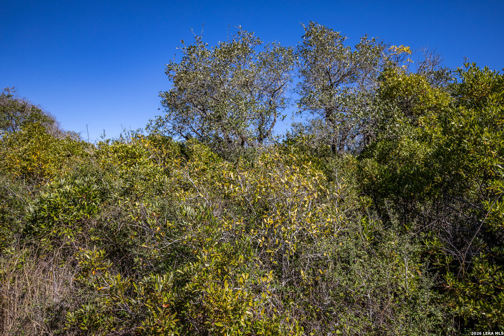 Blk A Trail 13 Aransas Pass TX 78336