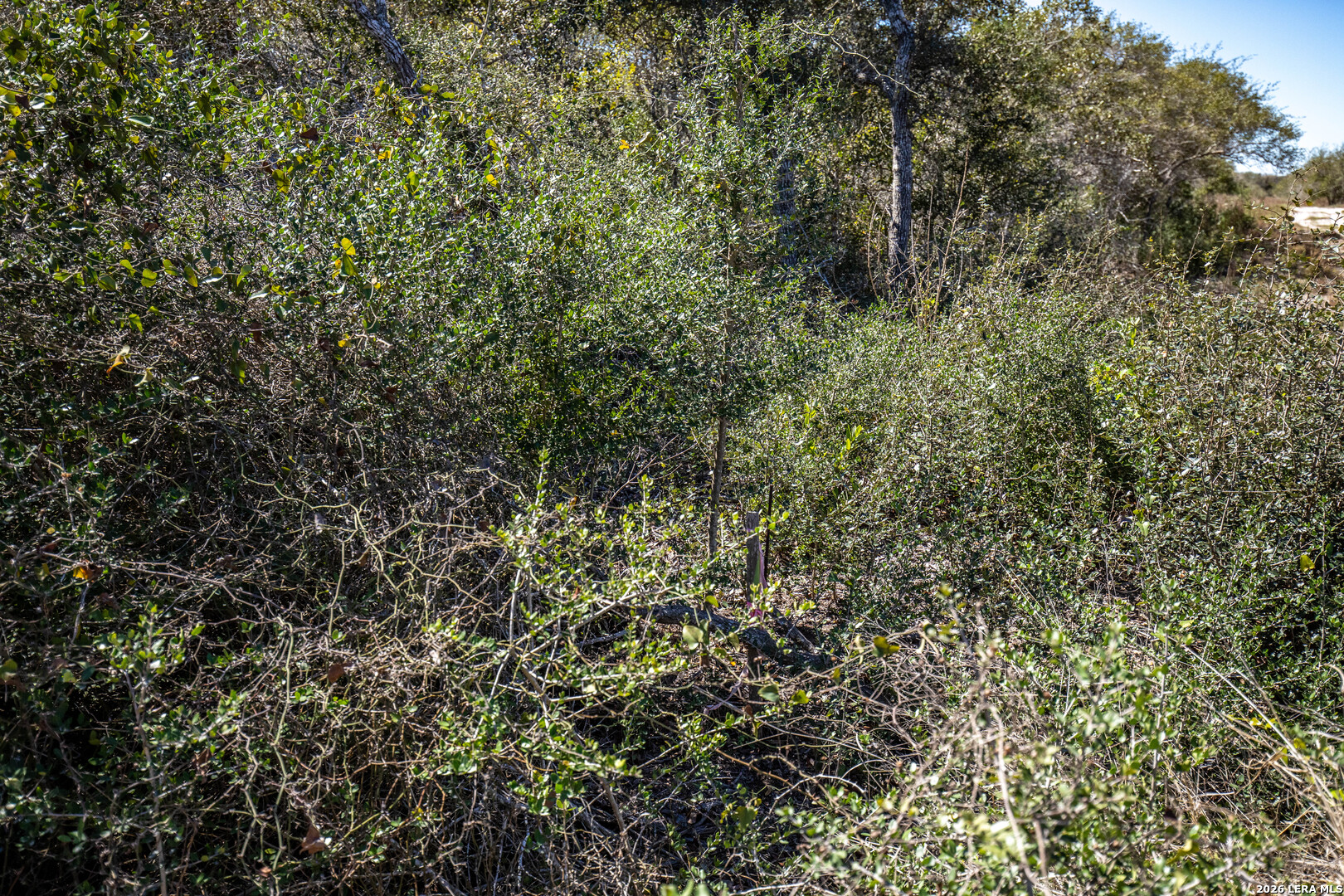 Blk A Trail 13 Aransas Pass TX 78336