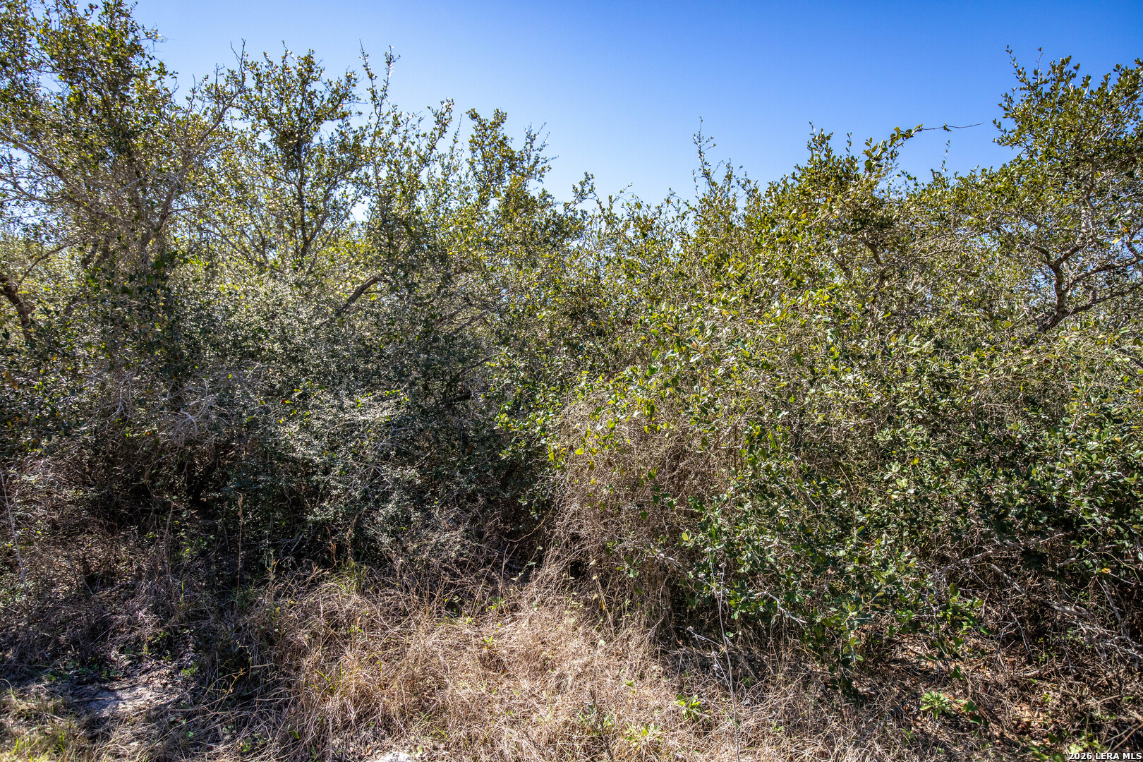 Blk A Trail 13 Aransas Pass TX 78336