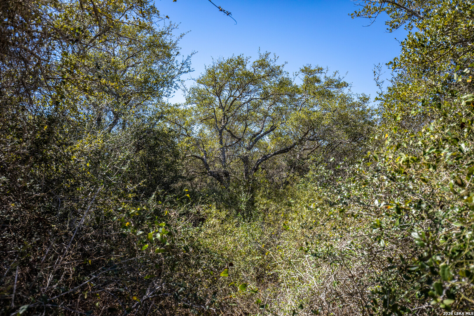 Blk A Trail 13 Aransas Pass TX 78336