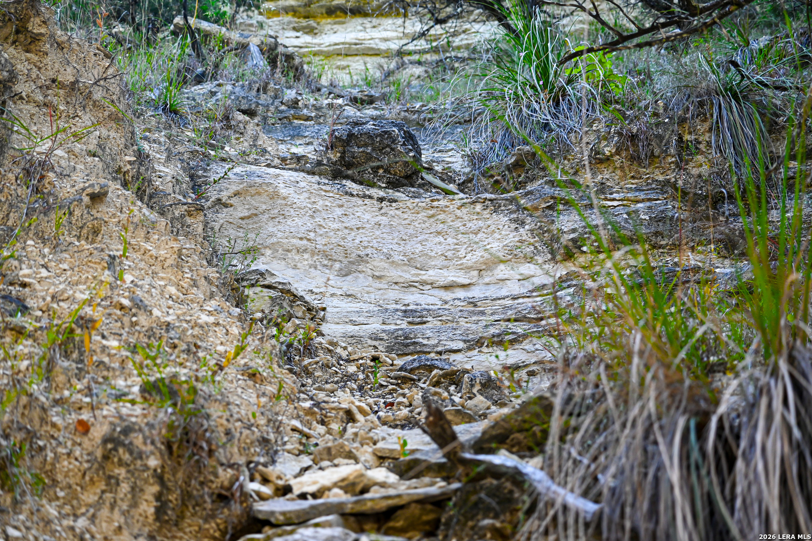 417 Sparkling Springs Drive Boerne TX 78006