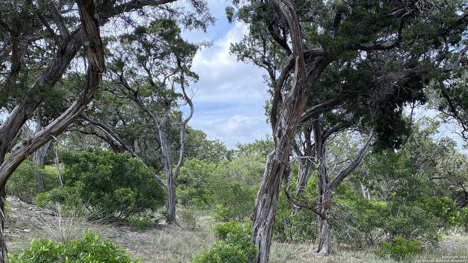 Lot 6 Sidney Shores Drive Lakehills TX 78063