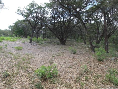 Lot 6 Sidney Shores Drive Lakehills TX 78063