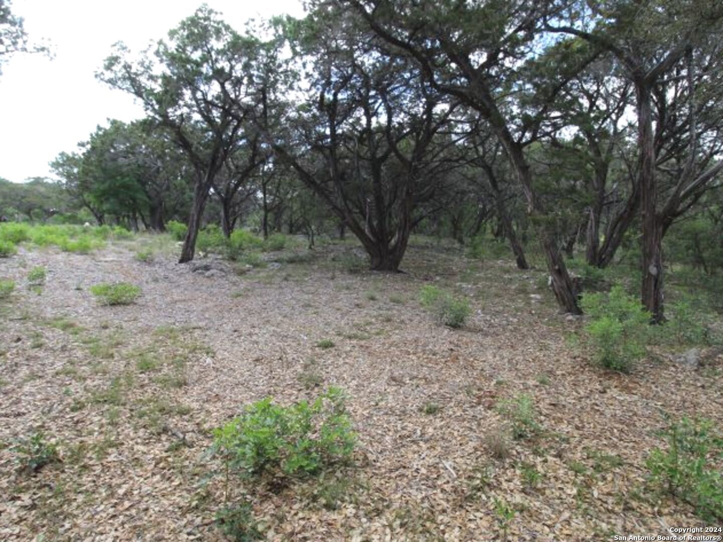 Lot 6 Sidney Shores Drive Lakehills TX 78063
