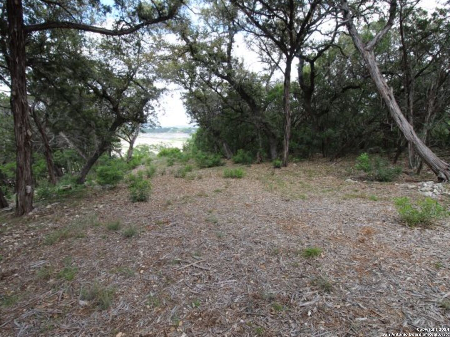 Lot 6 Sidney Shores Drive Lakehills TX 78063