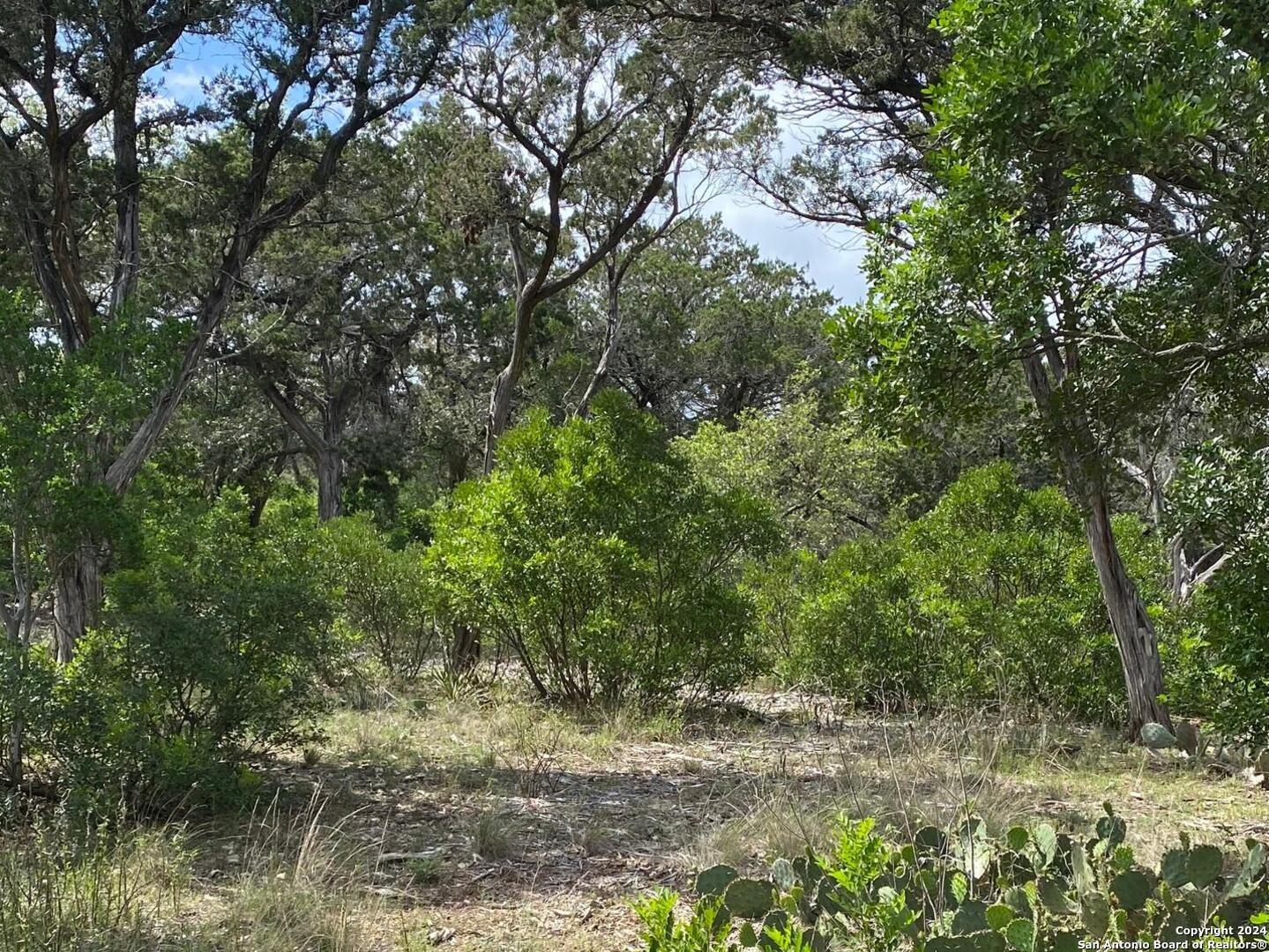 Lot 6 Sidney Shores Drive Lakehills TX 78063