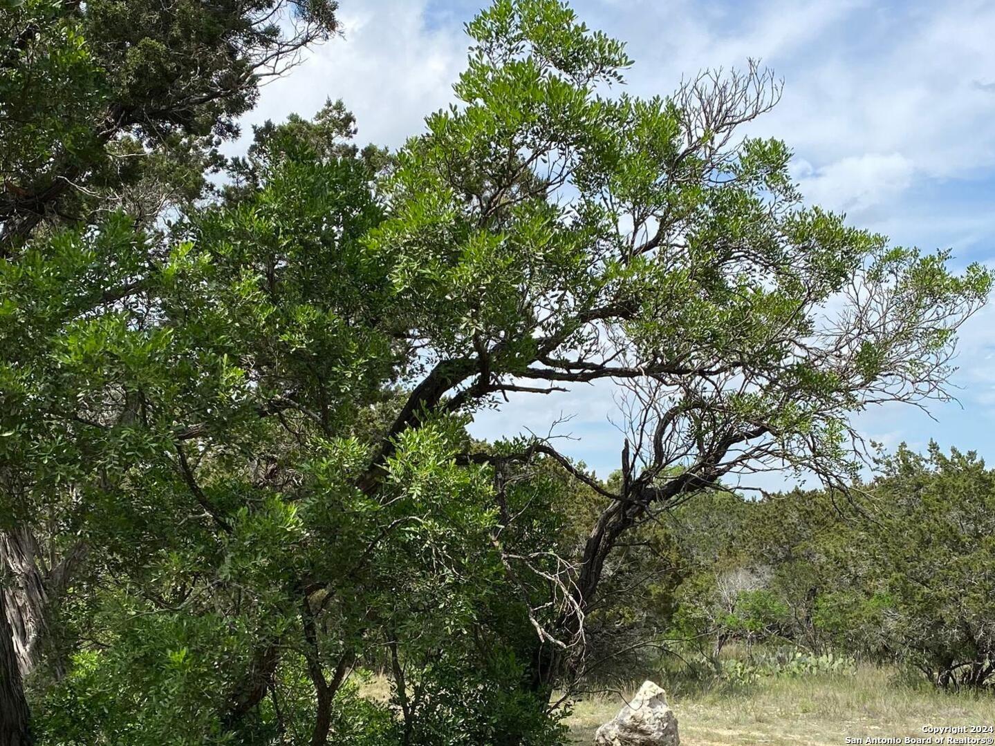 Lot 6 Sidney Shores Drive Lakehills TX 78063