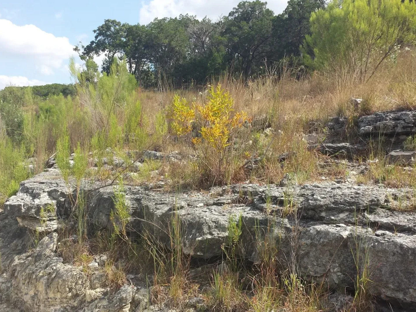 Lot 6 Sidney Shores Drive Lakehills TX 78063
