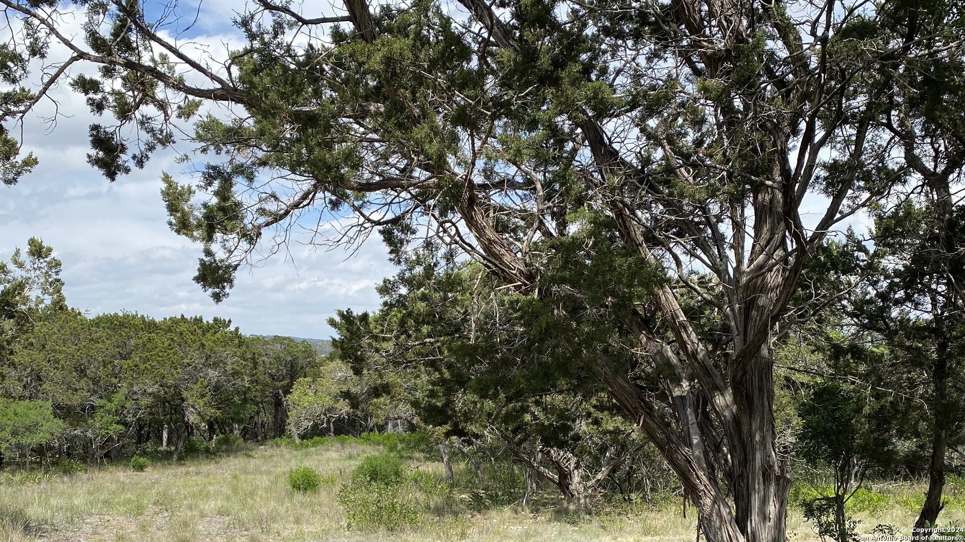 Lot 6 Sidney Shores Drive Lakehills TX 78063