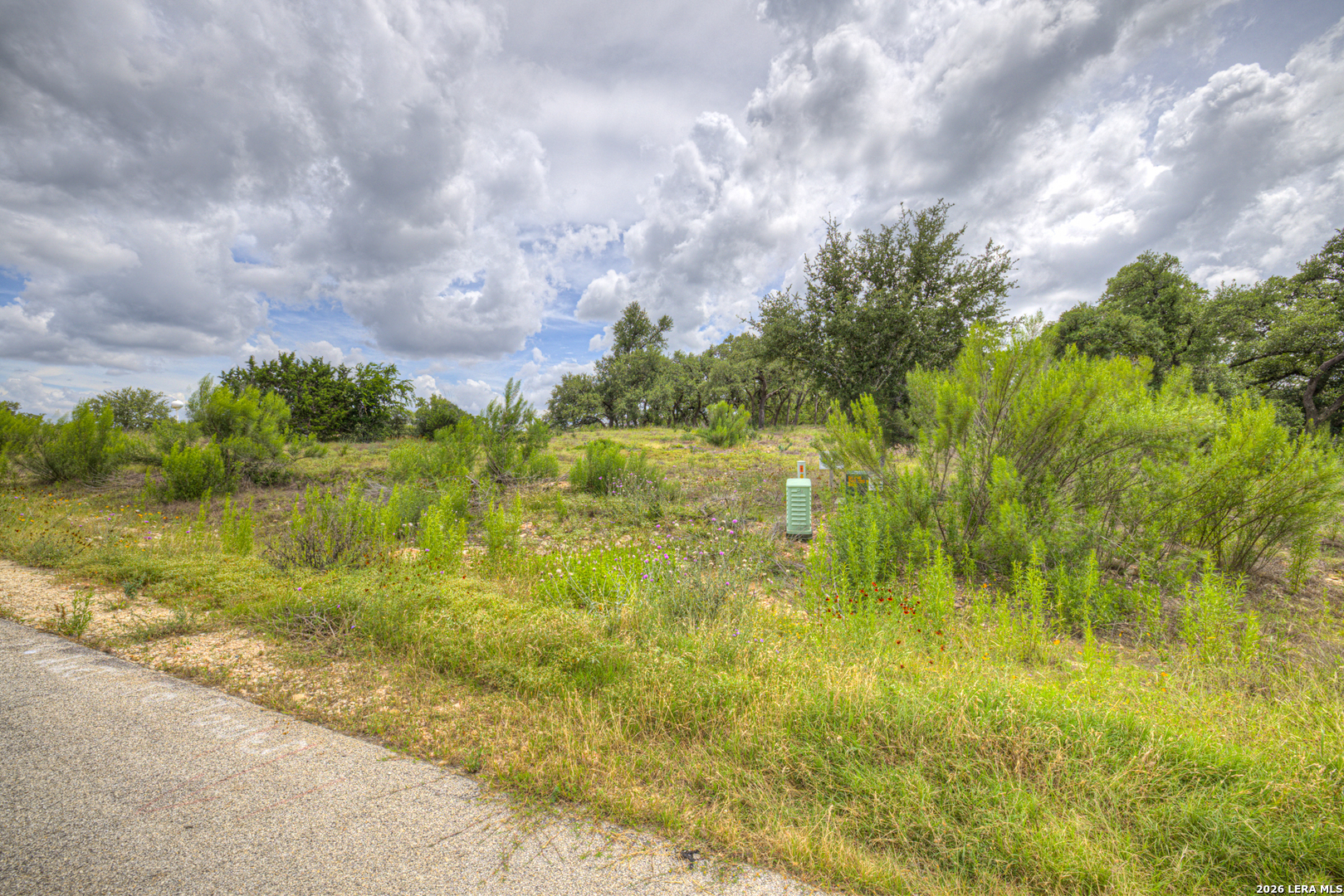1209 Fume Blanc New Braunfels TX 78132