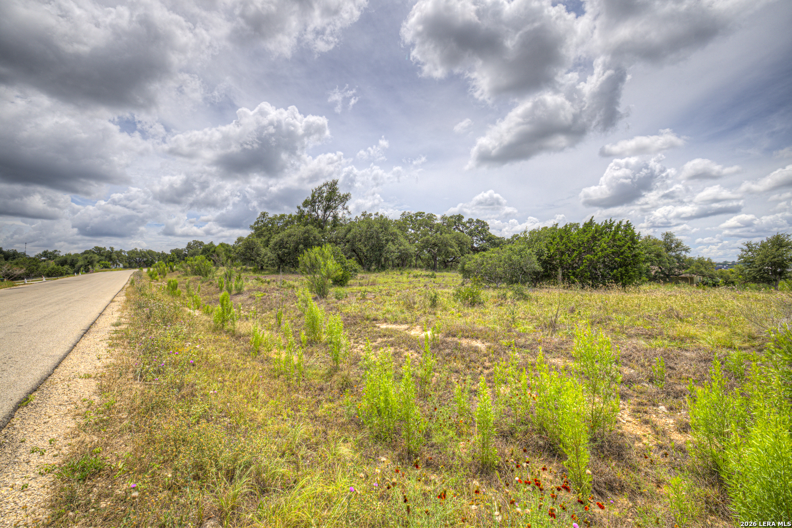 1209 Fume Blanc New Braunfels TX 78132