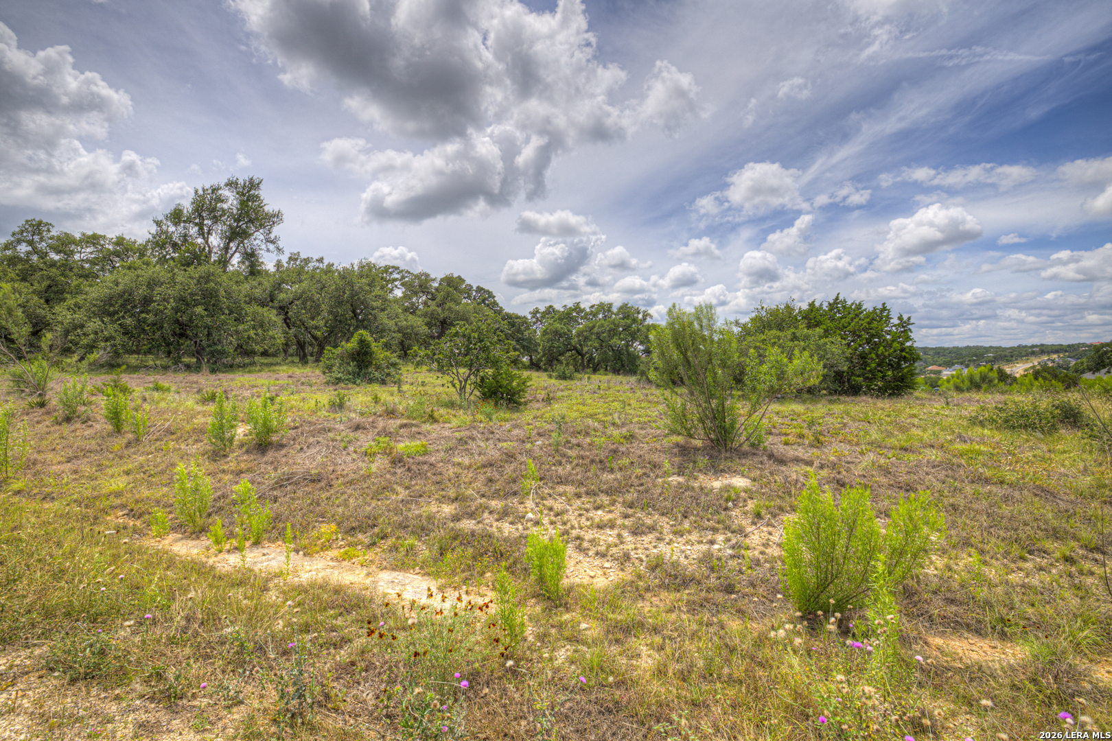 1209 Fume Blanc New Braunfels TX 78132