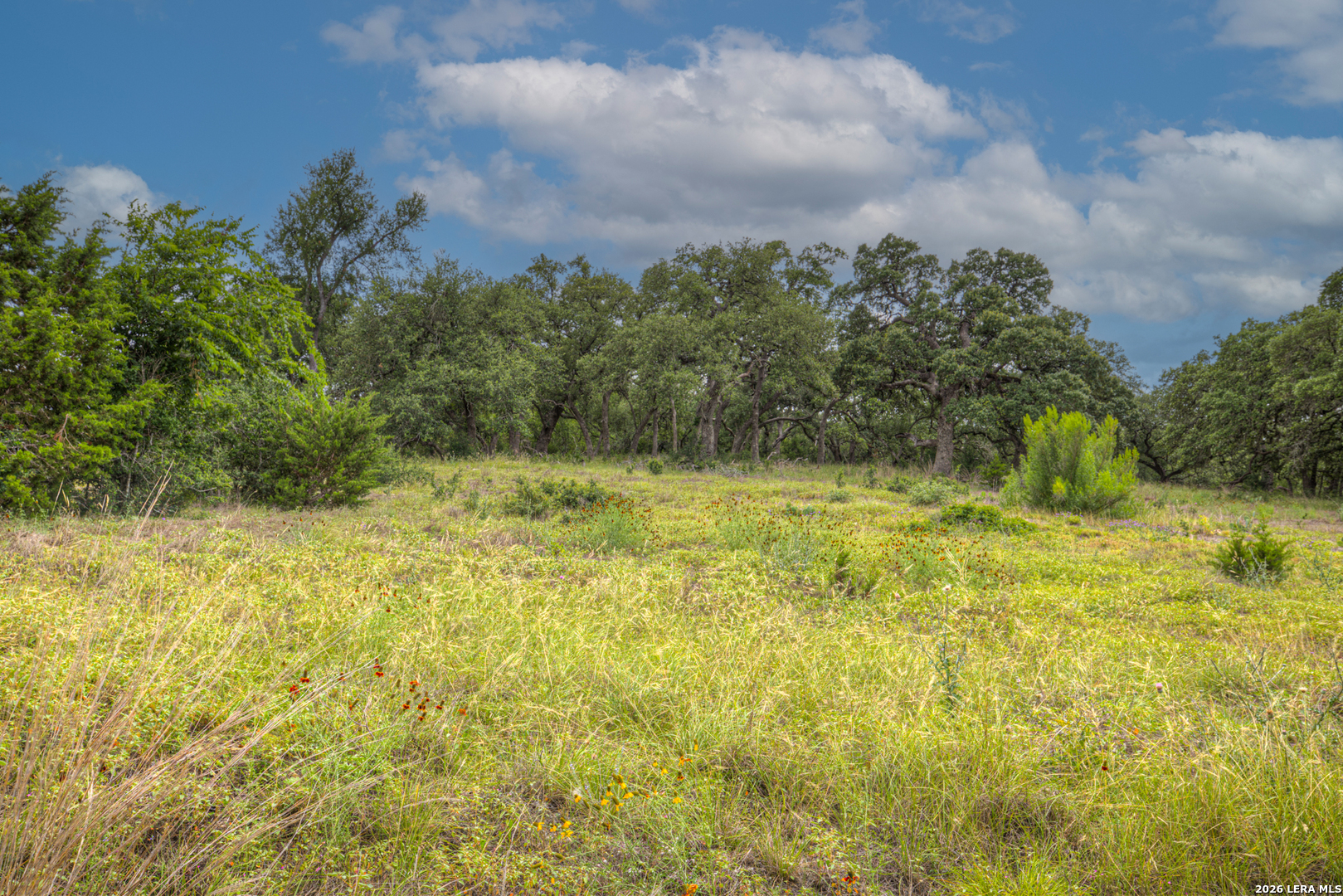 1209 Fume Blanc New Braunfels TX 78132