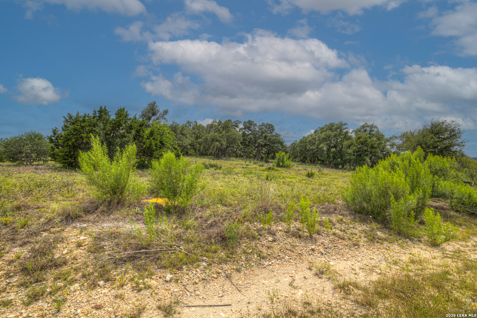 1209 Fume Blanc New Braunfels TX 78132